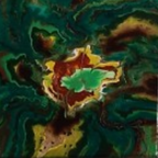Pintura Fluida: Cloroplasto